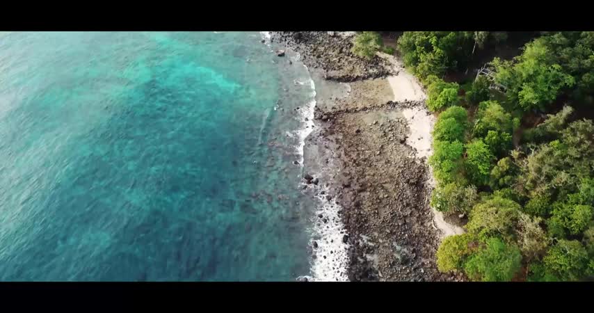 Drone Shots of Beach and Ocean No Copyright Videos for Editing - Free Videos - 4k - FreeCinematics