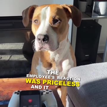 HufDog - the best prank call EVER!