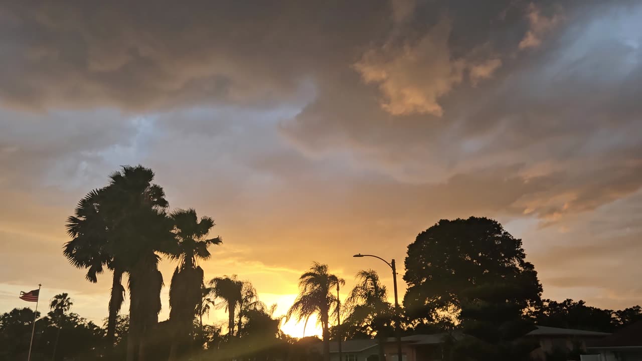 Backyard Skies