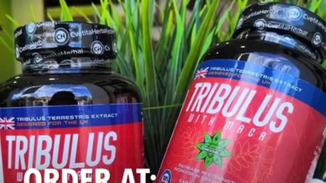 Tribulus with Maca