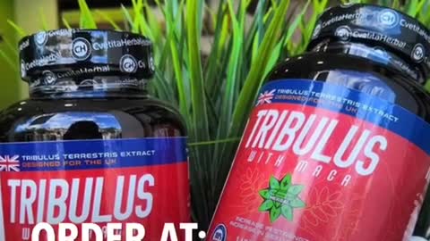 Tribulus with Maca