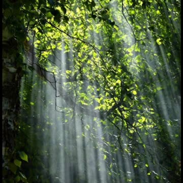 "Nature photography" || beauty of nature 🌿🌿