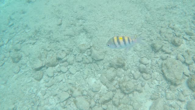 Cozumel Excursion