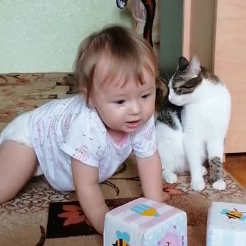 Baby loves to destroy pyramids