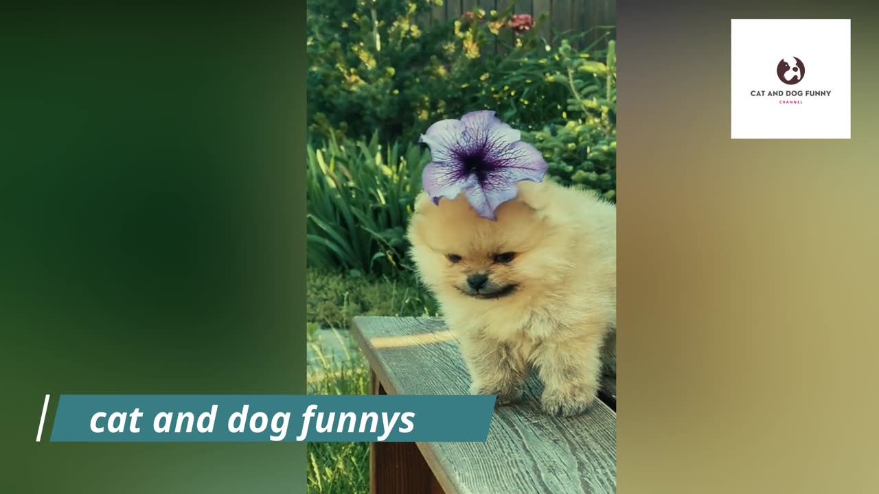 small cute cat with flower