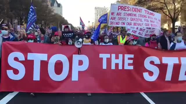 Stop the Steal Rally in D.C.11/14/2020-1