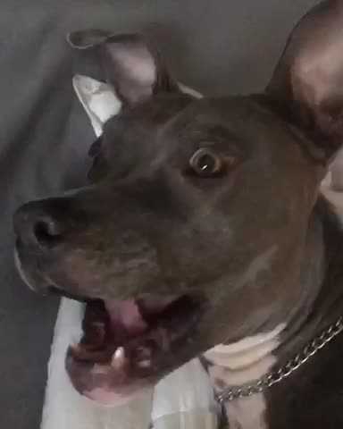 When you wake up after a crazy night