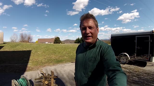ISNW 001 - Michael - I do not want free wood testimony