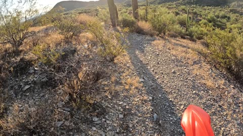 Early morning motorcycle ride