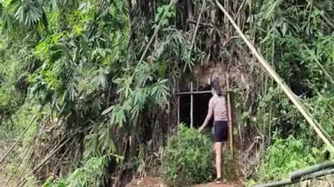 Make a shelter under bamboo