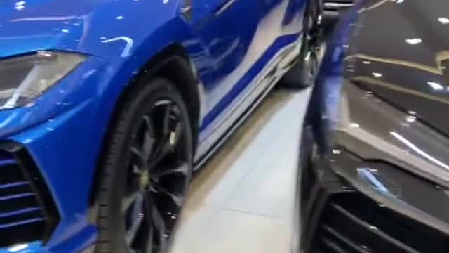 Luxury Cars: 😍 Lamborghini Urus Collection | Vip Motors | Luxury Lifestyle | Donald Trump