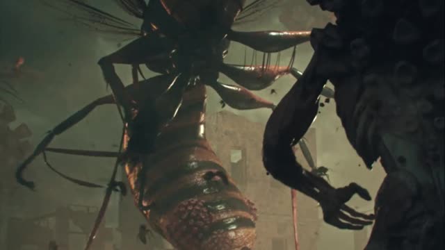 Corona virus vs. murder hornets