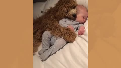 DOGS AND BABIES ARE THE BEST