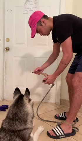 Freezing in front of her to see the reaction