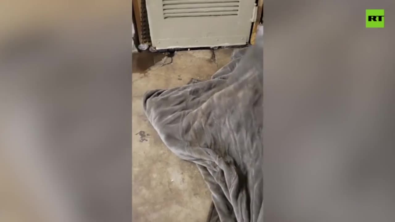 New York City’s homeless are covered in rats
