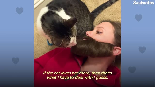 Cat Prefers Dad To Mom — So Mom Starts Wearing Fake Beards