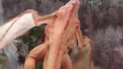 How's Dragon 🐲 flying 😲😲.. Must watch