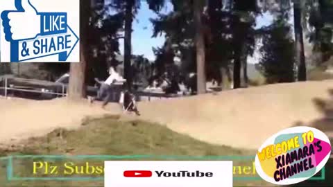 Kids Best Funny Videos