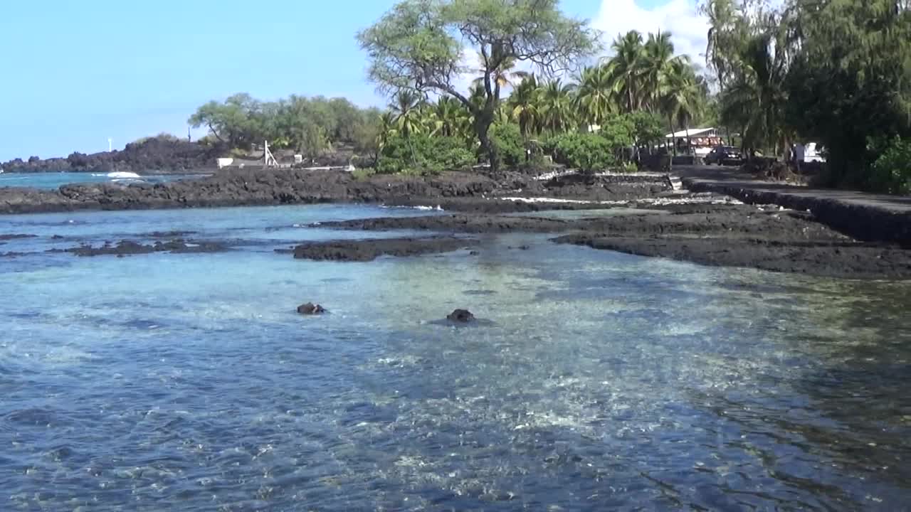 Captain Cook, HI — Miloli'i Beach Park