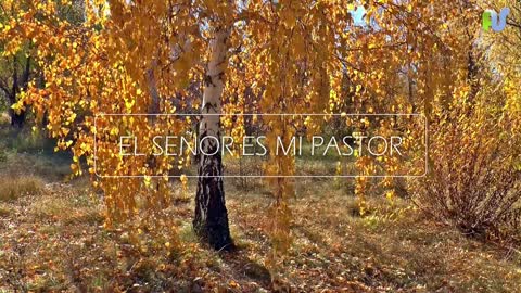 El Señor es mi Pastor - Salmo 23