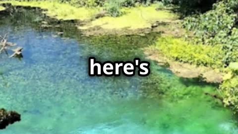 Discover the Mysteries of Blue Eye Spring! #travel #explore #history