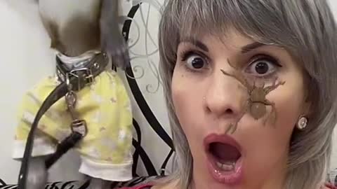 monkey scared of virtual spider