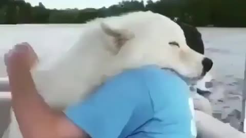 Human & animal bond..❤️😊