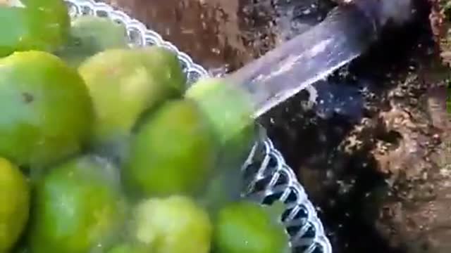 A spring of pure pure water
