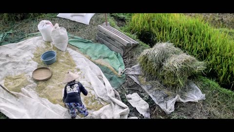 Nature video