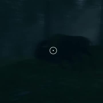 The One Two Step Hunter Call of the Wild