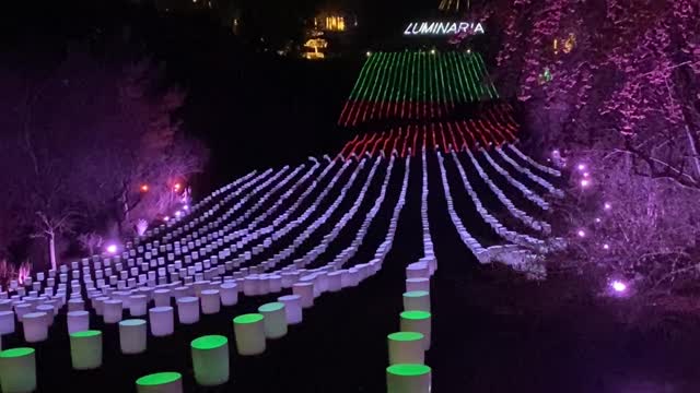 Luminaria Christmas Lights