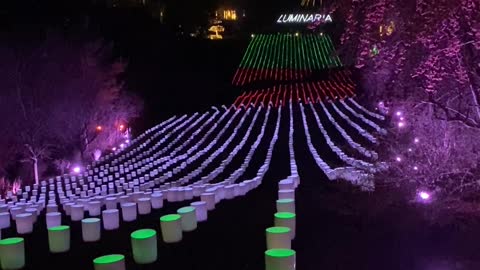 Luminaria Christmas Lights