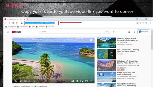 YouTube to MP3 Converter and Downloader Online Free