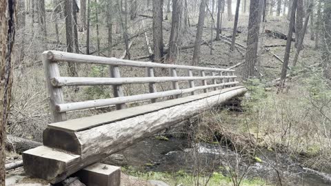 Approach to Rustic Log Bridge – Metolius River – Candle Creek Campground – 4K