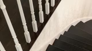 Another Stair Riser and Rail Refinish and Paint