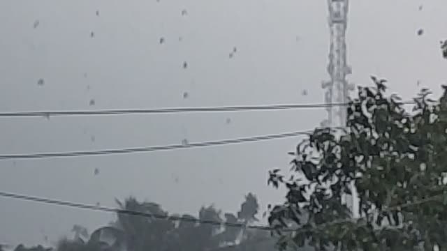 Rain slowly look nice