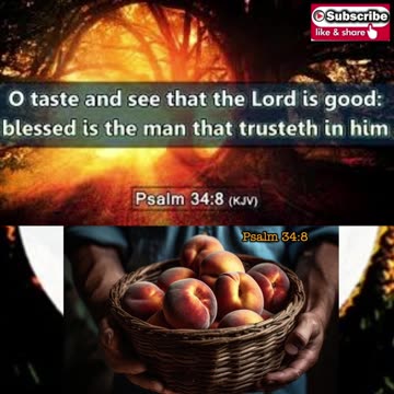 Morning Prayer of God's Goodness #youtubeshorts #grace #jesus #mercy #faith #fyp #bless #trust #joy