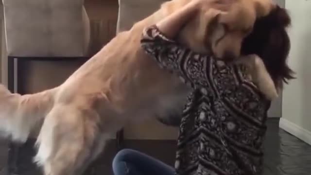 Cute Dogs getting a hug by their owners!