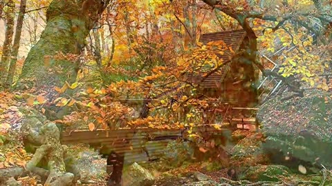 Enchanting autumn views with beautiful piano