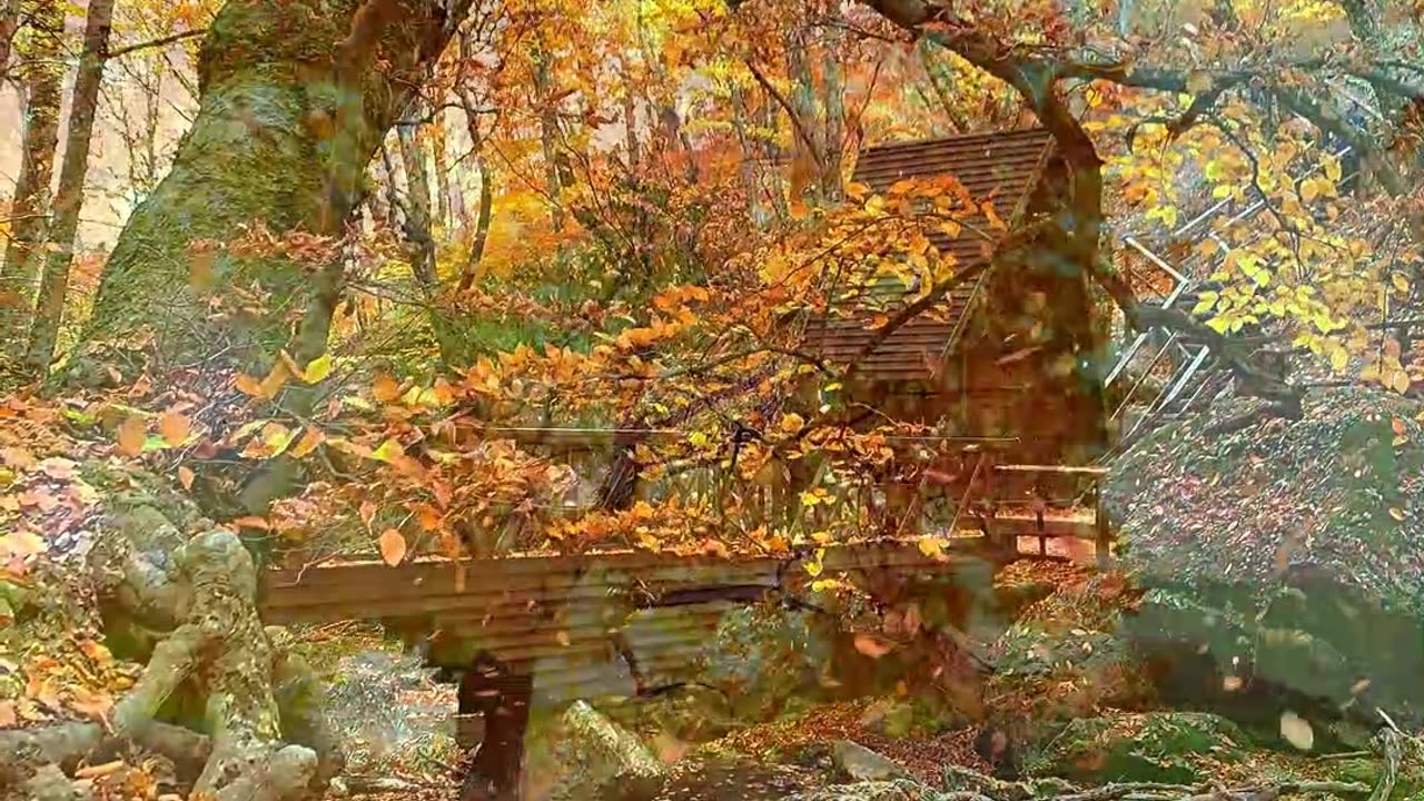 Enchanting autumn views with beautiful piano