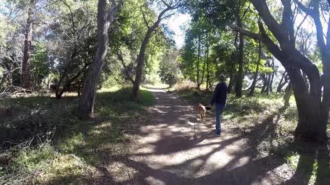 A Boy & His Dog