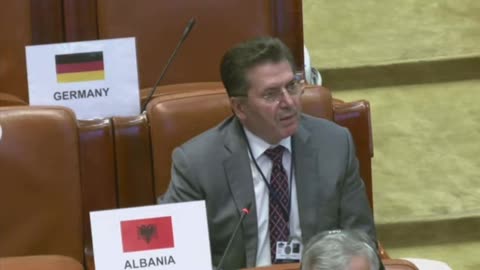 Asambleja e OSBE, Mediu: Krimi i organizuar që dikton zgjedhjet, kërcënim për vendin