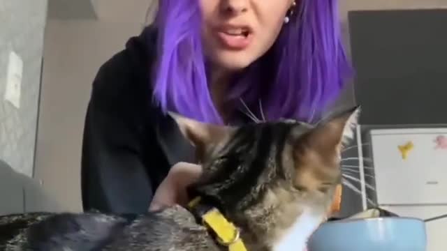 Feed me âšī¸đ Love cats? Like & Share