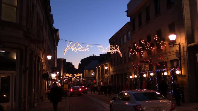people In the street at christmas