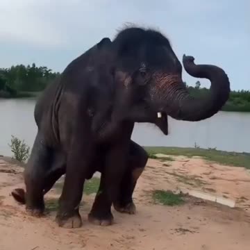 Don't Worry, Be Happy