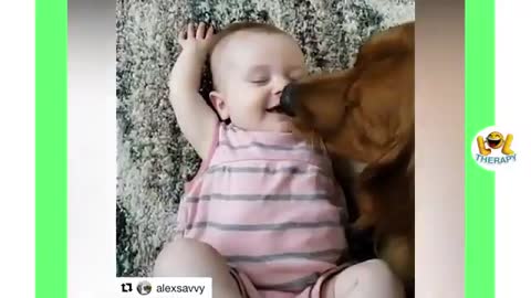 Babies having good time with dogs.