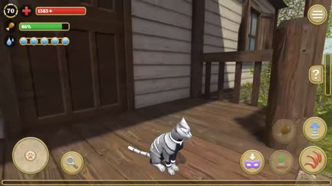 Cat Simulator 2020