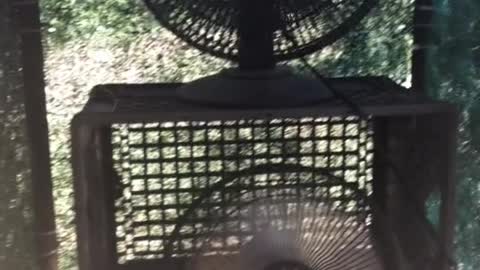 Swamp Cooler