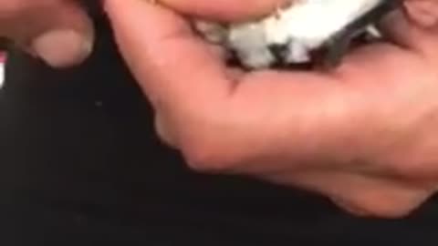 Hoe ring canari