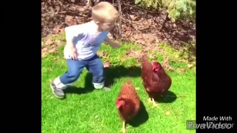 funniest videos running the chicken